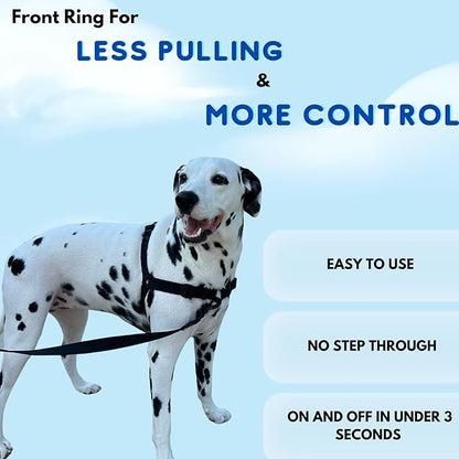 ShawnCo Dream Walk No-Pull Dog Harness- Adjustable, Comfortable, Easy to Use Pet Halter to Help Stop Pulling for Small, Medium and Large Dogs (Oceanic Blue, XS)