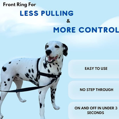 ShawnCo Dream Walk No-Pull Dog Harness- Adjustable, Comfortable, Easy to Use Pet Halter to Help Stop Pulling for Small, Medium and Large Dogs (Rose Gold, L)