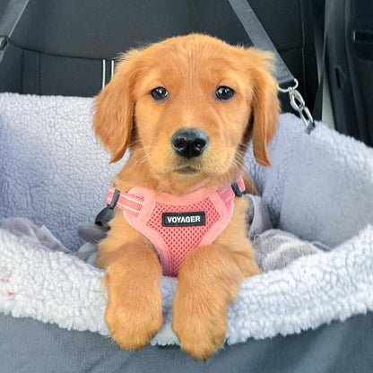 Best Pet Supplies Voyager Adjustable Dog Vest Harness Breathable No Pull Harness for Small, Medium, Large Dogs, Heavy Duty Harness for Walking, Jogging, Easy Step-in, Reflective Stripes - (Pink), XL