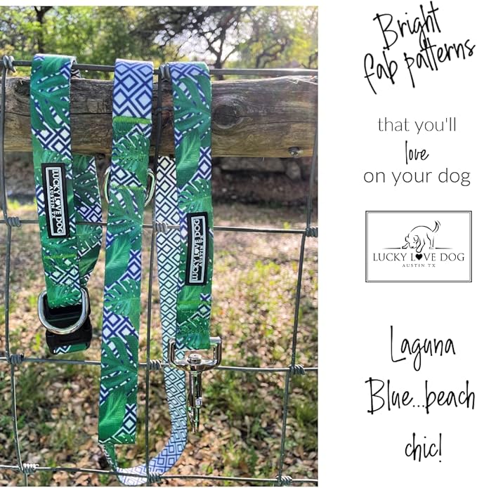 Lucky Love Dog Collar and Leash Set, Beautiful & Vivid Patterns, Easy On & Off Clasp Accessory (Blue Laguna, M Combo)