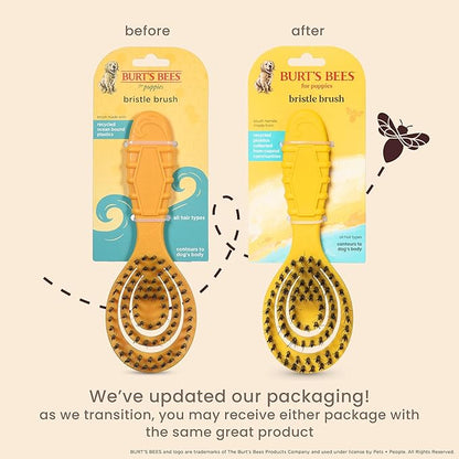 Burt's Bees for Pets Small Bristle Brush with Natural Boar’s Hair & Nylon | Handle Made from Recycled Plastics Collected from Coastal Communities | De-Shedding Eco Friendly Dog Grooming Brush