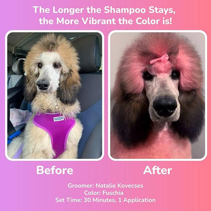 OPAWZ Color Depositing Shampoo for Dogs, Semi-Permanent Hair Dye Coloring, Non-Toxic Colorwash for Pets (Pink, 16.94 fl.oz / 500mL)