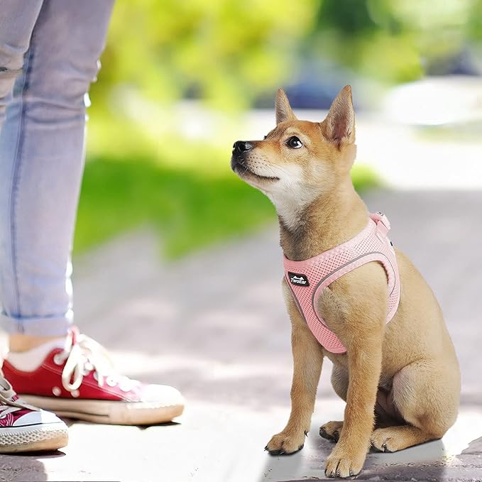 TwoEar Dog Vest Harness Reflective, No-Pull Pet Harness Easy Control with Breathable Mesh, Soft Puppy Step-in Harness No-Choke for Outdoor Walking, Training for Small Dogs(S, Pink)