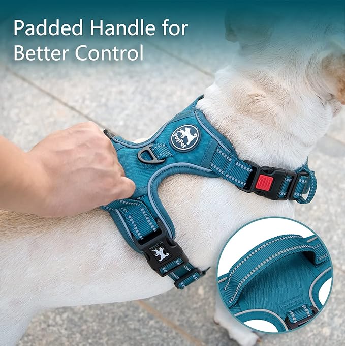 PoyPet No Pull Dog Harness, No Choke Reflective Dog Vest, Adjustable Pet Harnesses with 2 Leash Attachments with Easy Control Padded Handle for Small Medium Large Dogs(Tumalo Teal,XL)