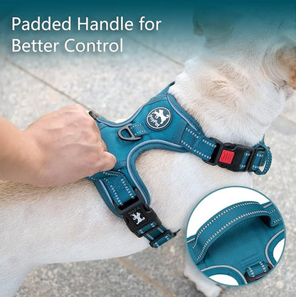 PoyPet No Pull Dog Harness, No Choke Reflective Dog Vest, Adjustable Pet Harnesses with 2 Leash Attachments with Easy Control Padded Handle for Small Medium Large Dogs(Tumalo Teal,XL)
