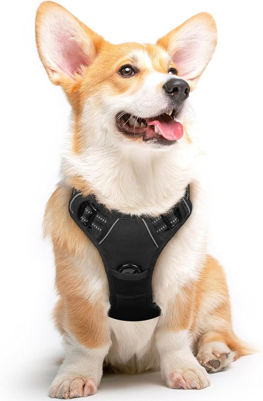 Dog Harness, No-Pull Pet Harness with 2 Leash Clips, Adjustable Soft Padded Dog Vest, Reflective No-Choke Pet Oxford Vest with Easy Control Handle for Medium Dogs, Black,