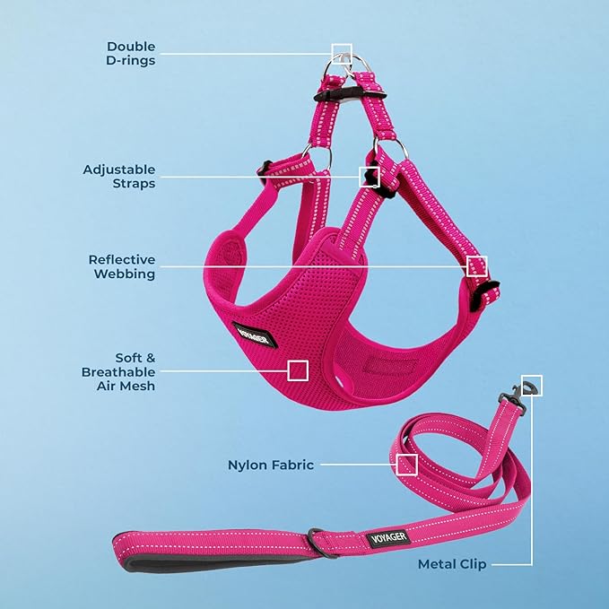 Best Pet Supplies Voyager Adjustable Dog Harness Leash Set with Reflective Stripes for Walking Heavy-Duty Full Body No Pull Vest with Leash D-Ring, Breathable All-Weather - Harness (Fuchsia), XL