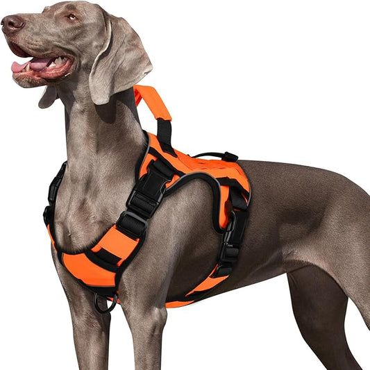 WINGOIN Orange Dog Tactical Harness for Small Dogs No Pull Adjustable Reflective K9 Military Dog Service Dog Harnesses with Handle, Metal Buckles for Dachshund, Boston Terrier, Beagle(S)