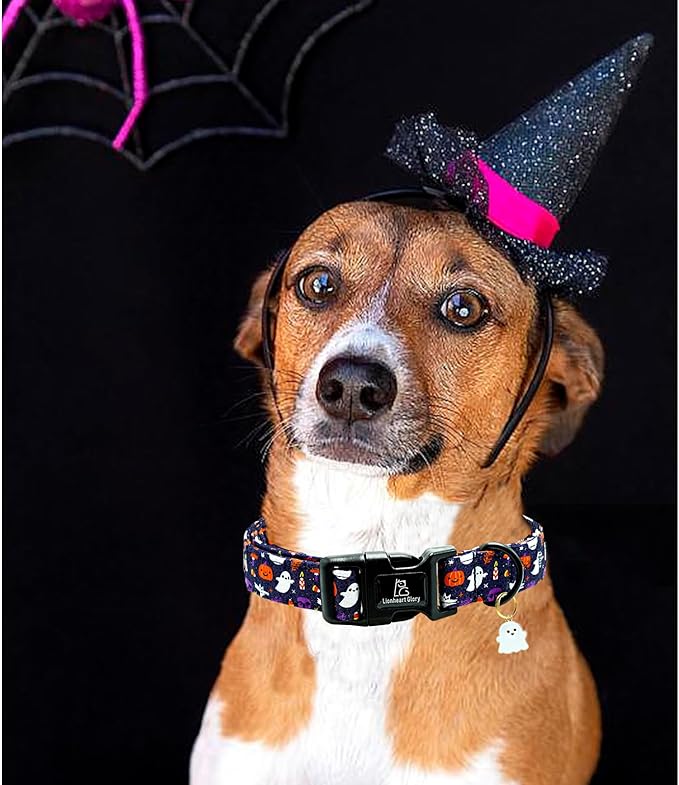 Lionheart glory Dog Collars Fall Halloween Pumpkin Collar Dog Heavy Comfortable Adjustable Dog Collar for Small Collar Dogs Girls or Boys Dog Collar Cute Pet Gift