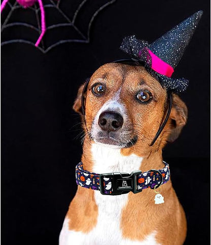 Lionheart glory Dog Collars Fall Halloween Pumpkin Collar Dog Heavy Comfortable Adjustable Dog Collar for Small Collar Dogs Girls or Boys Dog Collar Cute Pet Gift
