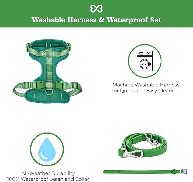 Dog Harness and Leash Set | BearBone No Pull Dog Harness and Waterproof Dog Collar and Leash Set | Heavy Duty Dog Harness, Leash and Collar | Medium Dog Harness, Leash and Collar (Green, Medium)