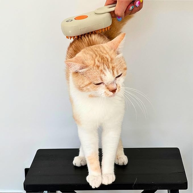 Pet Steam Brush