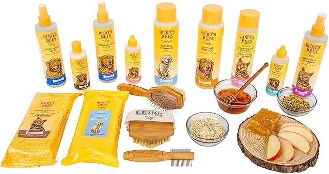 Burt's Bees for Pets Deodorizing Dog Shampoo with Apple and Rosemary, 6pk, 95% Natural Origin Formulas, Dog Deodorizing Shampoo - Gentle Dog Shampoo, Best Dog Shampoo for Smelly Dogs, 6pk, 16 oz