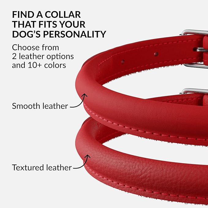 CollarDirect Rolled Leather Dog Collar, Soft Padded Round Puppy Collar, Handmade Genuine Leather Collar Dog Small Large Cat Collars 13 Colors (15-19 Inch, Red Smooth)