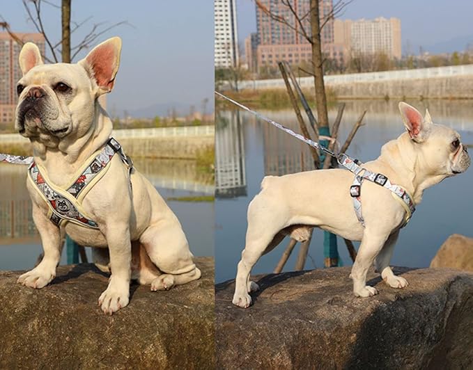 PT-010 Pet Dog Puppy No-Pull Harness Walking Training Harness with Leash Reflective Vest (Beige, Large)