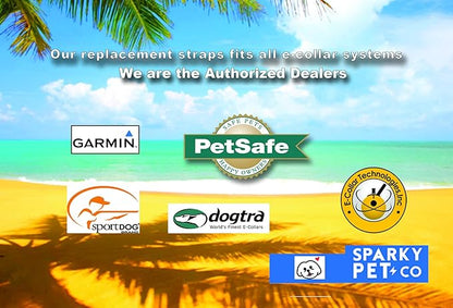 Sparky Pet Co - ECollar Replacement Strap - Bungee Dog Collar - Waterproof - Adjustable - Secure Nexus Wheel Lock - for Electronic Training & Invisible Fence Systems - 3/4" (Blue)