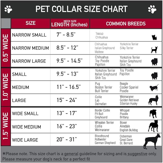 Buckle-Down Dog Collar Plastic Clip Avatar The Last Airbender Appa Pose Stacked 7 to 8.5 Inches 0.5 Inch Wide