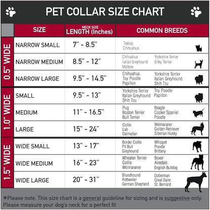 Buckle-Down Dog Collar Plastic Clip Avatar The Last Airbender Appa Pose Stacked 7 to 8.5 Inches 0.5 Inch Wide
