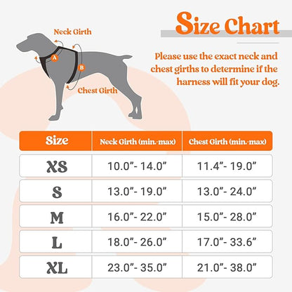 rabbitgoo Dog Harness, No-Pull Pet Harness with 2 Leash Clips, Adjustable Soft Padded Dog Vest, Reflective No-Choke Pet Oxford Vest with Easy Control Handle for Small Dogs, Orange,XS