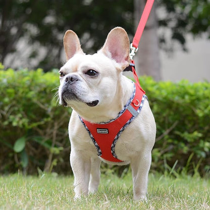 Mercano Soft Mesh Dog Harness and Leash Set, No-Chock Step-in Reflective Breathable Lightweight Easy Walk Escape Proof Vest Harnesses with Safety Buckle for Small Medium Dogs, Cats (Red, XS)