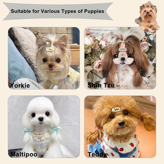Soft Bristle Cat-Ear Puppy Brush Small Dogs Gentle Comb Grooming Tool Yorkie Shih Tzu Maltipoo Maltese (Grey)