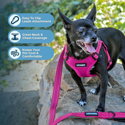 Best Pet Supplies Voyager Adjustable Dog Vest Harness Breathable No Pull Harness for Small, Medium, Large Dogs, Harness for Walking, Jogging, Easy Step-In, Reflective Stripes - (Fuchsia), XL