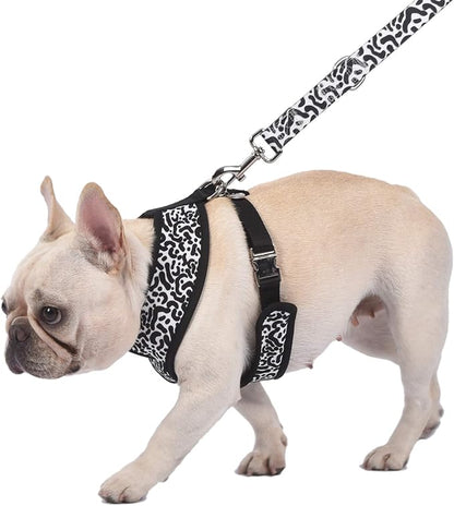 Now House for Pets by Jonathan Adler Leo Reversible Harness, Medium | Stylish, Fashionable, and Functional Way to Keep Your Dog Looking Great | Cute and Adorable Dog Accessories for Pets