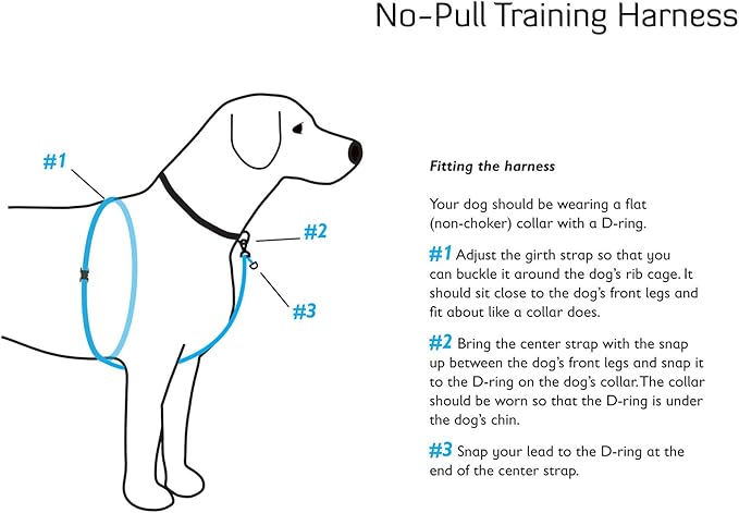LupinePet Originals 3/4" Alpen Glow 16-26" No Pull Harness for Small-Medium Dogs