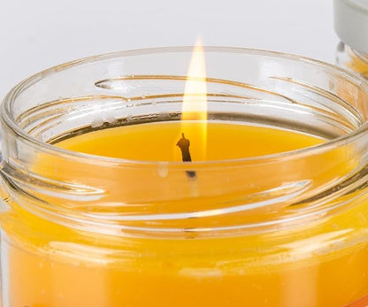 Pet Odor Specialty Pet Products Exterminator, 13 Ounce Orange Lemon Splash Jar Candle and 13 Ounce Clothesline Fresh Jar Candle