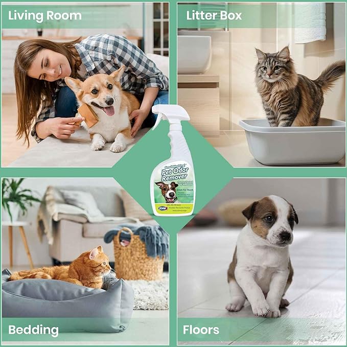 ZORBX Unscented Pet Odor Remover Spray 24 FL Oz – Perfume Free Strong Litter Odor Remover - Advanced Odor Control for Carpet, Bathroom & Urine Odors - Fast Acting Odor Remover Spray for Dogs & Cats