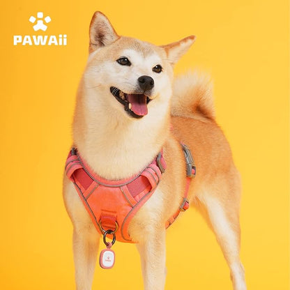 Pawaii Dog Harness for Small Dogs, Dog Harness with Pet ID Tag, No Choke Dog Harness, Adjustable Soft Padded Pet Vest with Easy Control Handle