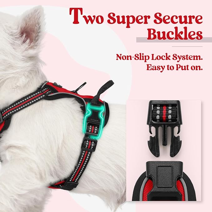 rabbitgoo Dog Harness, No-Pull Pet Harness with 2 Leash Clips, Adjustable Soft Padded Dog Vest, Reflective No-Choke Pet Oxford Vest with Easy Control Handle for Small Dogs, Red,XS