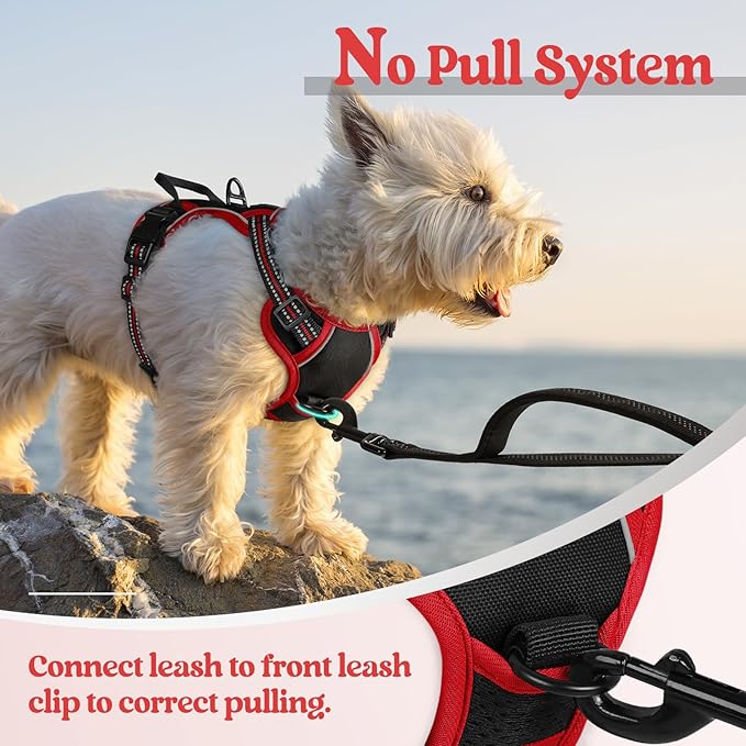 rabbitgoo Dog Harness, No-Pull Pet Harness with 2 Leash Clips, Adjustable Soft Padded Dog Vest, Reflective No-Choke Pet Oxford Vest with Easy Control Handle for Large Dogs, Black & Red, X-Small