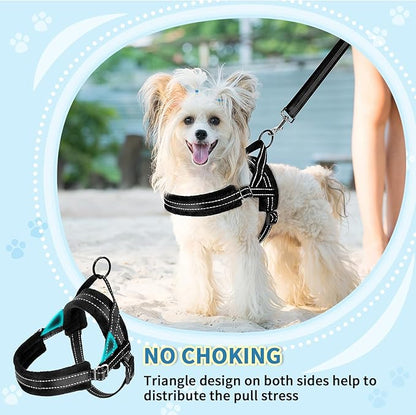 SlowTon No Pull Small Dog Harness and Leash Set, Puppy Soft Vest Harness Neck & Chest Adjustable, Reflective Lightweight Harness & Anti-Twist Pet Lead Combo for Small Medium Dogs(B,L)