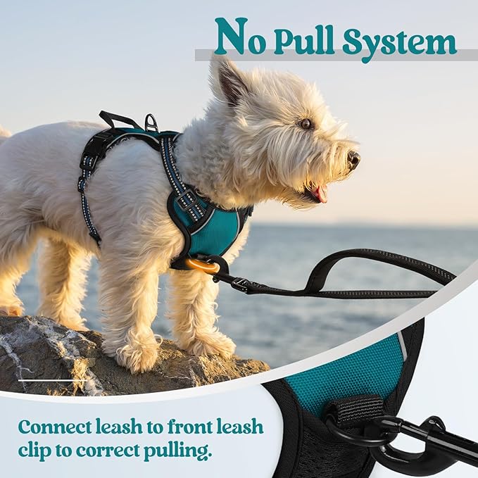 rabbitgoo Dog Harness, No-Pull Pet Harness with 2 Leash Clips, Adjustable Soft Padded Dog Vest, Reflective No-Choke Pet Oxford Vest with Easy Control Handle for Small Dogs, Blue Coral, XS