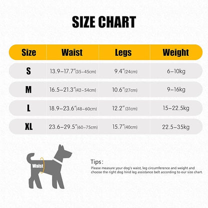 GabeFish Dog Leg Support for Back Legs, Adjustable Lift Harness for Dog, Breathable Dog Sling for Rear Legs Grey Small