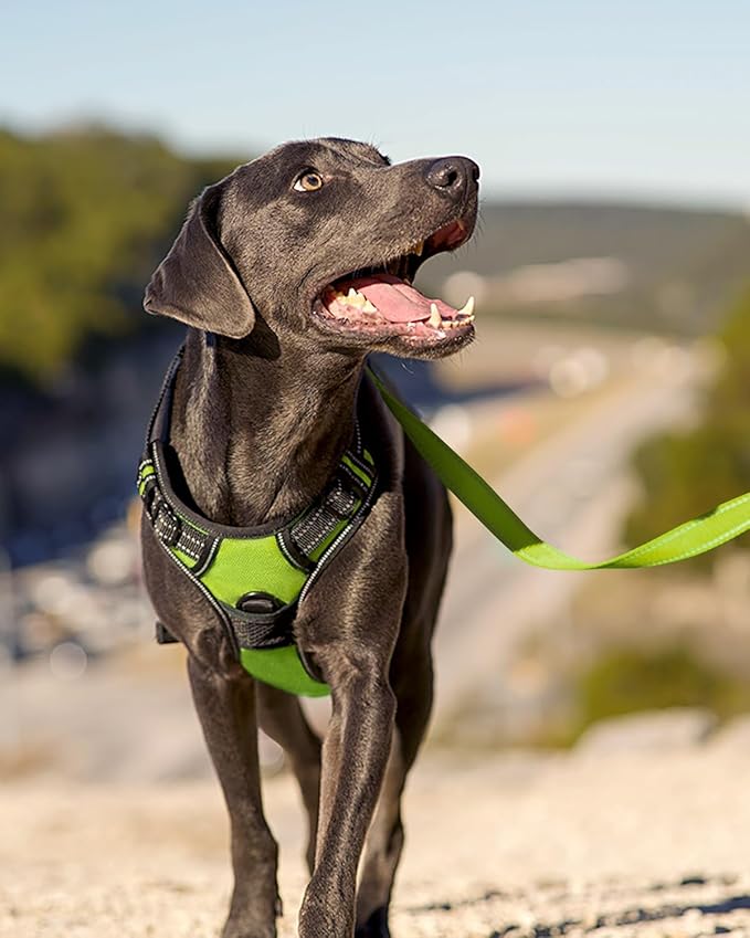 Joytale No Pull Dog Harness for Extra Large Dogs, Reflective Pet Vest with Front Clip, Adjustable Soft Padded Harnesses with Easy Control Handle for Training and Walking, Green, XL