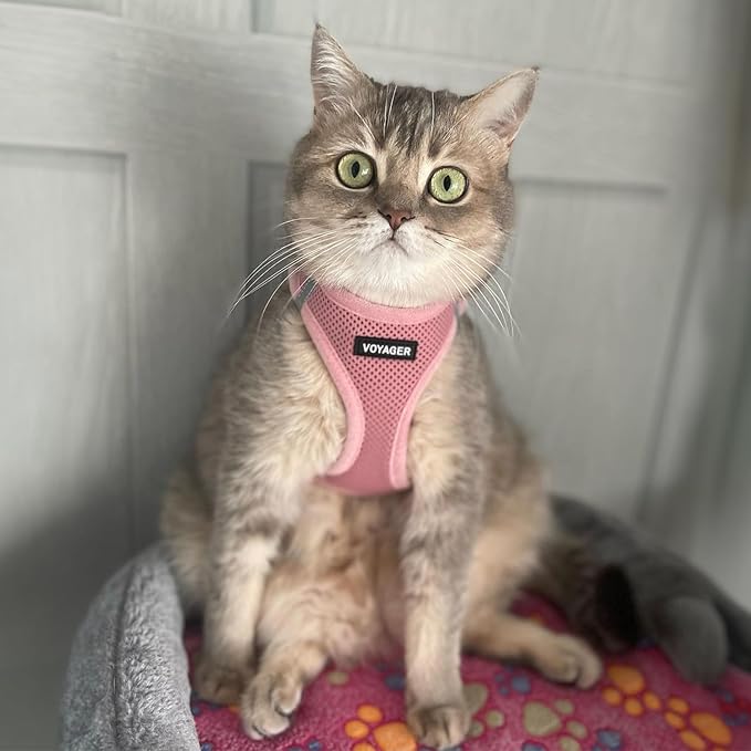 Voyager Step-In Air Dog Harness - All Weather Mesh, Reflective, No Pull Harness for Small, Medium Dogs, Cats - Secure with Hook & Loop Fastener, Buckle, Double D-Rings - Pink, XXS
