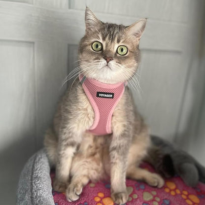 Voyager Step-In Air Dog Harness - All Weather Mesh, Reflective, No Pull Harness for Small, Medium Dogs, Cats - Secure with Hook & Loop Fastener, Buckle, Double D-Rings - Pink, XXS