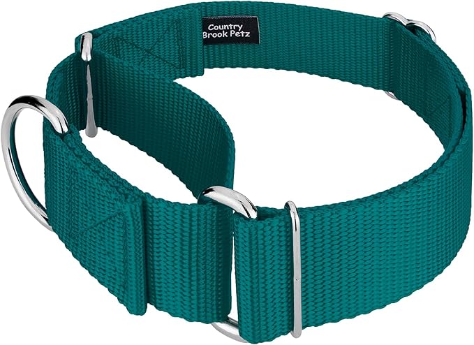 Country Brook Petz 1 1/2 Inch Martingale Heavy Duty Nylon Adjustable Dog Collar for Small, Medium, Large Breeds - Vibrant 17 Color Selection (Teal, Medium)