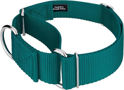 Country Brook Petz 1 1/2 Inch Martingale Heavy Duty Nylon Adjustable Dog Collar for Small, Medium, Large Breeds - Vibrant 17 Color Selection (Teal, Medium)