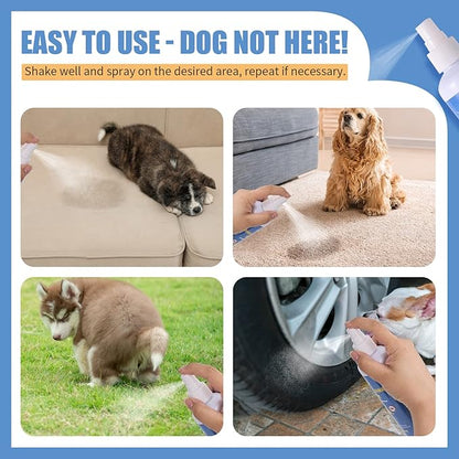 Training Spray for Dogs to Stop Peeing | Not Here Dog Spray | Pet No More Marking | Safe Dog Spray for Peeing Dog Stay Away, 8oz
