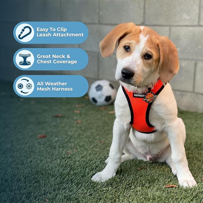 Voyager Step-In Air Dog Harness - All Weather Mesh, Reflective, No Pull Harness for Small, Medium Dogs, Cats - Secure with Hook & Loop Fastener, Buckle, Double D-Rings - Orange/Black Trim, XS