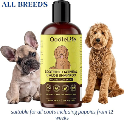 Dog Shampoo and Conditioner Aloe Oatmeal + Coconut 16 fl oz - Natural Dog Shampoo Sensitive Skin Dog Breeds, Moisturising, Dog Shampoo for Smelly Dogs, Goldendoodles