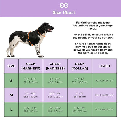 Dog Harness and Leash Set | BearBone No Pull Dog Harness and Waterproof Dog Collar and Leash Set | Heavy Duty Dog Harness, Leash and Collar | Small Dog Harness and Leash Set (Lilac, Small)