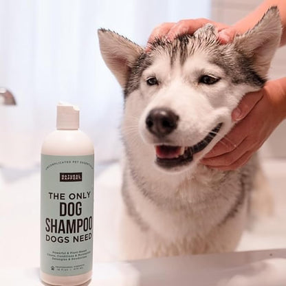 Natural Rapport Pet and Dog Shampoo - The Only Dog Shampoo Dogs Need - Complete Wash for Pets, All Breeds (16 fl oz.)