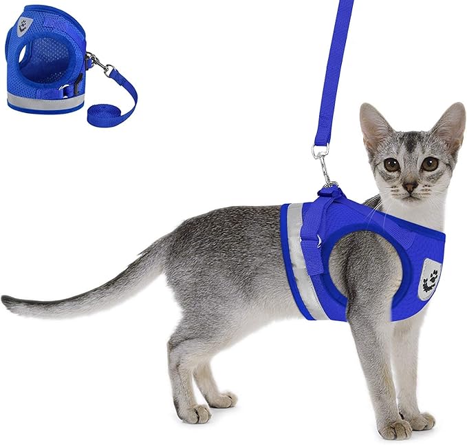 Cat Harnesses for Small Dogs - Cat Harnesses and Leashes for Walking, Adjustable Reflective Step in Dog Harness for Small Dog and Cat (Blue, XS (10.2” – 11.4”))