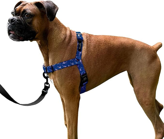 ShawnCo Dream Walk No-Pull Dog Harness- Adjustable, Comfortable, Easy to Use Pet Halter to Help Stop Pulling for Small, Medium and Large Dogs- Art Pattern Designs (White Sharks, S)