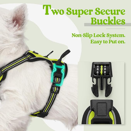 rabbitgoo Dog Harness, No-Pull Pet Harness with 2 Leash Clips, Adjustable Soft Padded Dog Vest, Reflective No-Choke Pet Oxford Vest with Easy Control Handle for Small Dogs, Wild Lime, XS