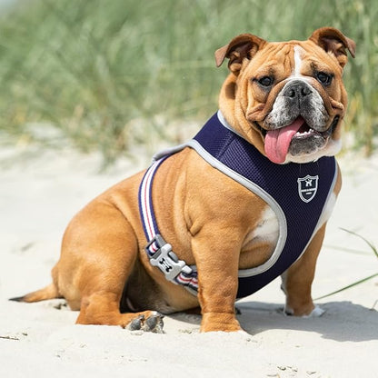 HUGO & HUDSON Dog Harness No-Pull Pet Harness Adjustable Quick Dry Mesh Padded Vest, Navy, XS